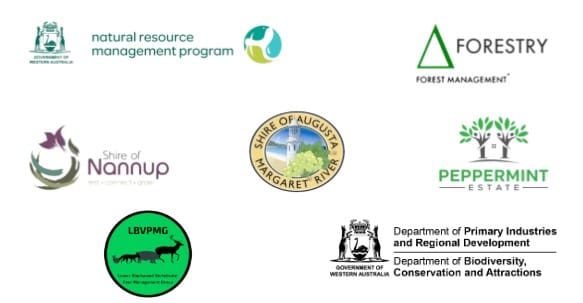 Screenshot 2025 09 15 152535