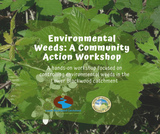 Weed Control Community Workshop 1 1
