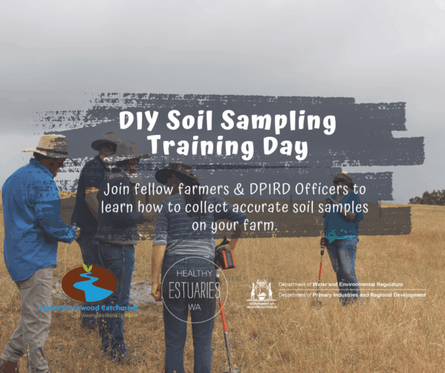 DIY Soil Testing Day