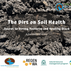 The Dirt on Soil Health Tile