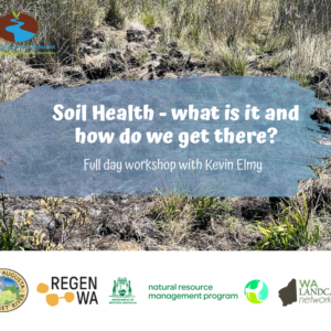 Kevin Elmy 12 Feb FB Tile 2