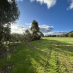 68f0fb0b253d0 bpthumb