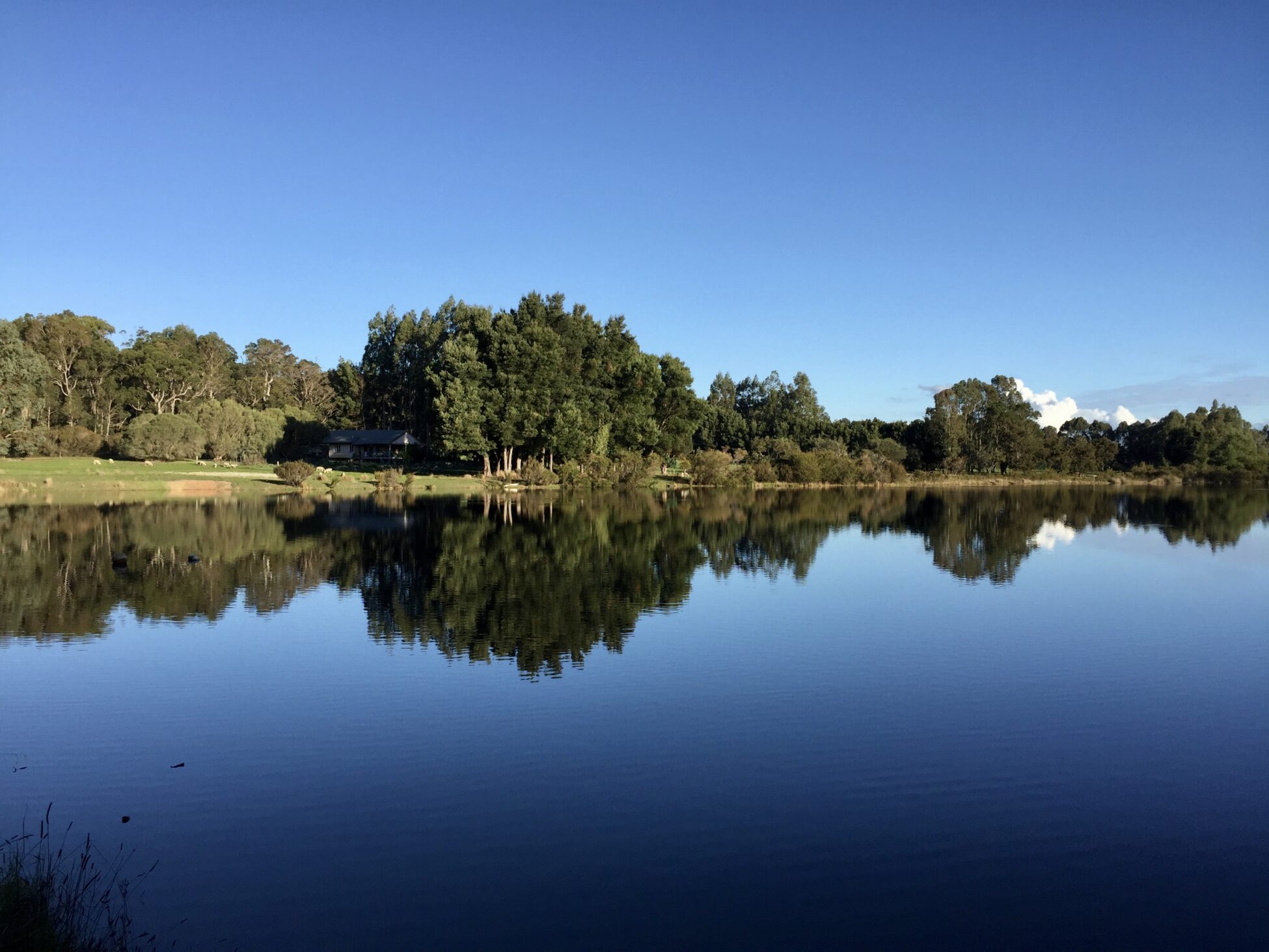 688d6f523377b bp cover image