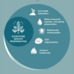 Group logo of RAPP Alumni