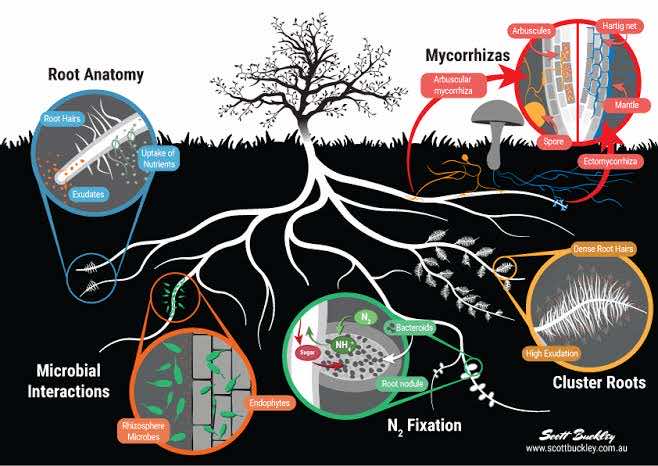 Biological & Landscape Function Monitoring sheet