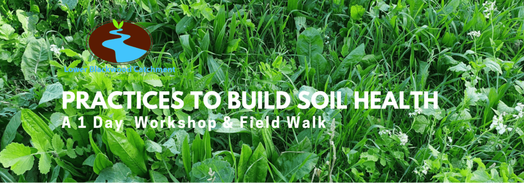 Building Soils with Biodiversity