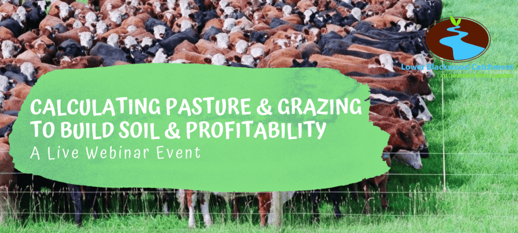 Calculating Pasture & Grazing to Build Soil & Profitability - a live webinar with Dr Judi Earl