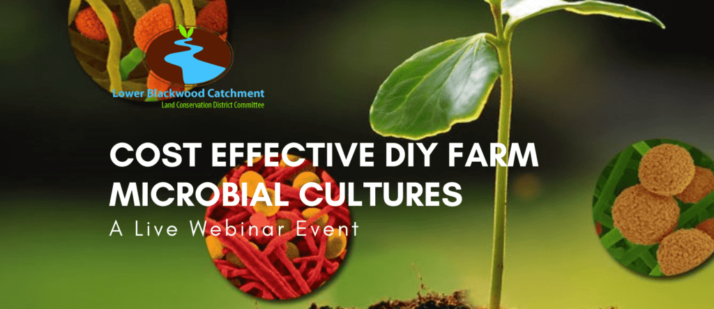 Cost Effective DIY Microbial Cultures