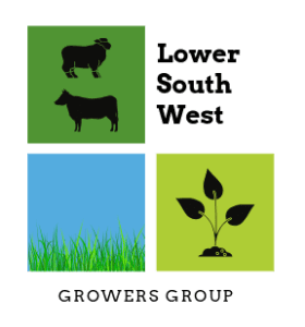 Finallogotransparent4