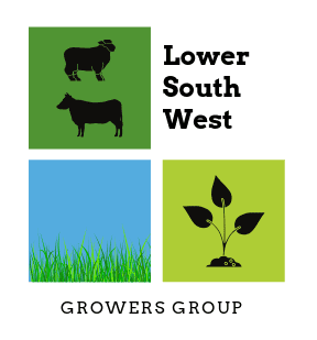 Finallogotransparent4