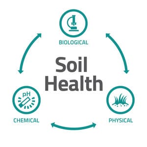 G 11814 16 Soil Components