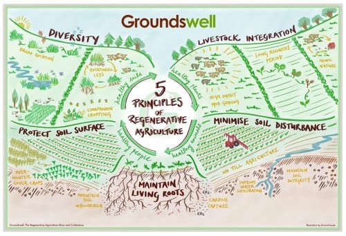 Groundswell 5 Principles e1614009904156