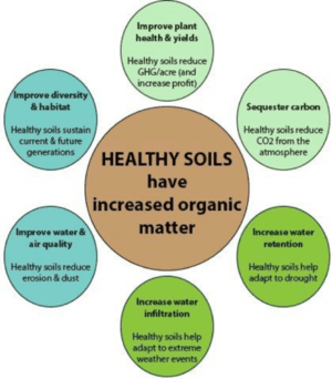 HealthySoils