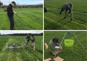 Uptake – Delivering Better Fertiliser Outcomes