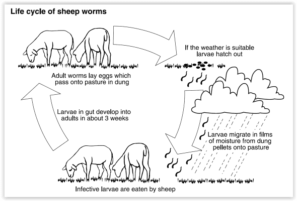 Screen Shot 05 27 24 at 02.46 PM