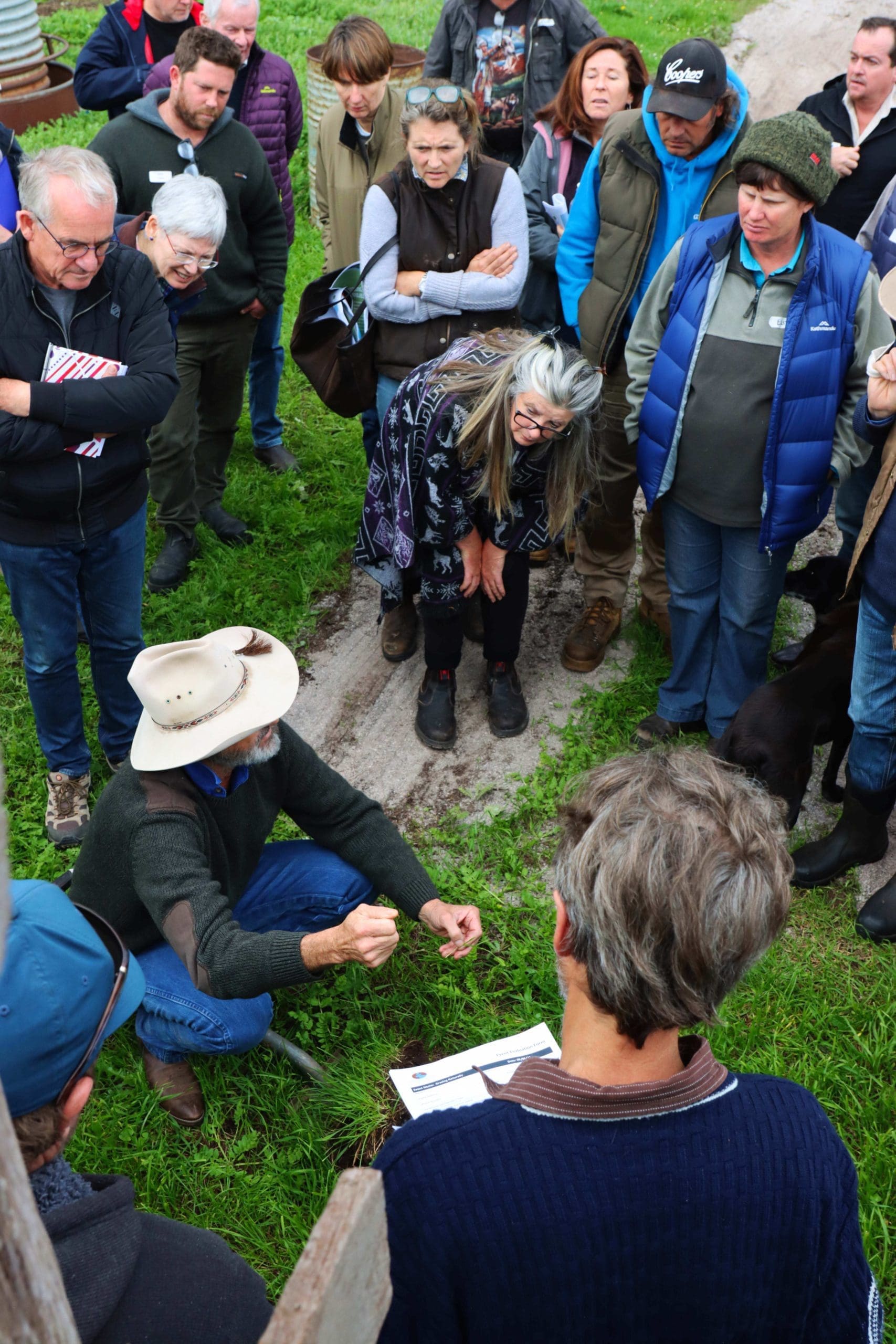 The Grazing Naturally Method 3 The Grazing Naturally Method 2 scaled