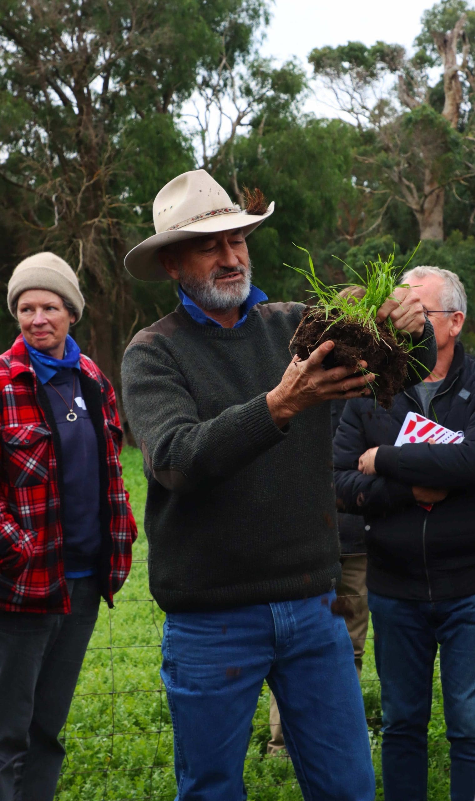 The Grazing Naturally Method 2 The Grazing Naturally Method 3 scaled