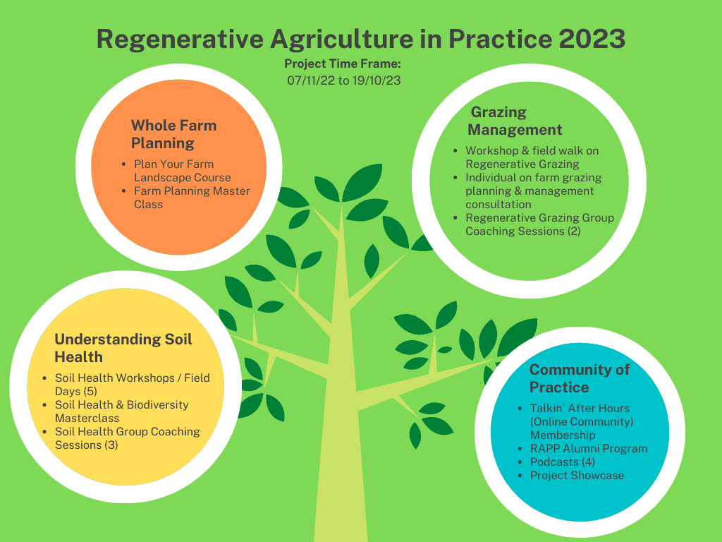 Project in Summary 4