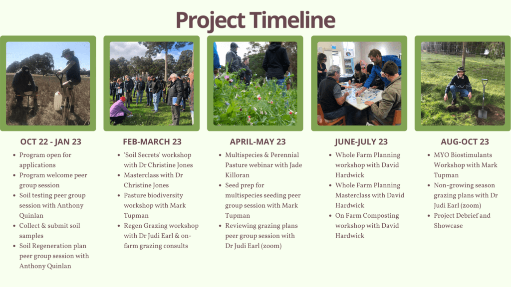 RAPP Project Timeline Summary