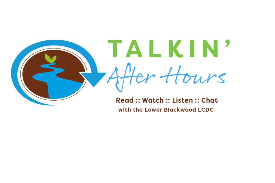 Cost Effective DIY Microbial Cultures 2 TAH Full logo FINAL