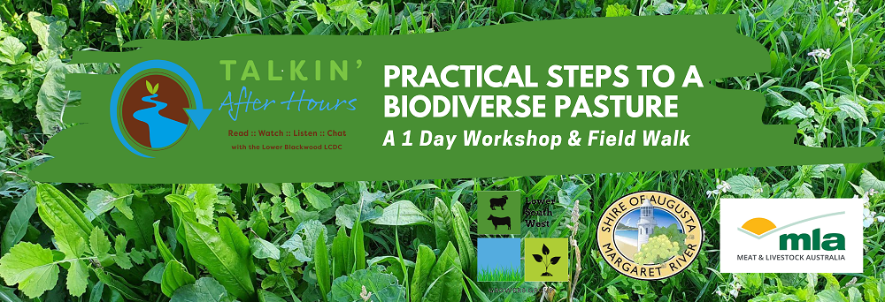 Steps to a Biodiverse Pasture Banner RS