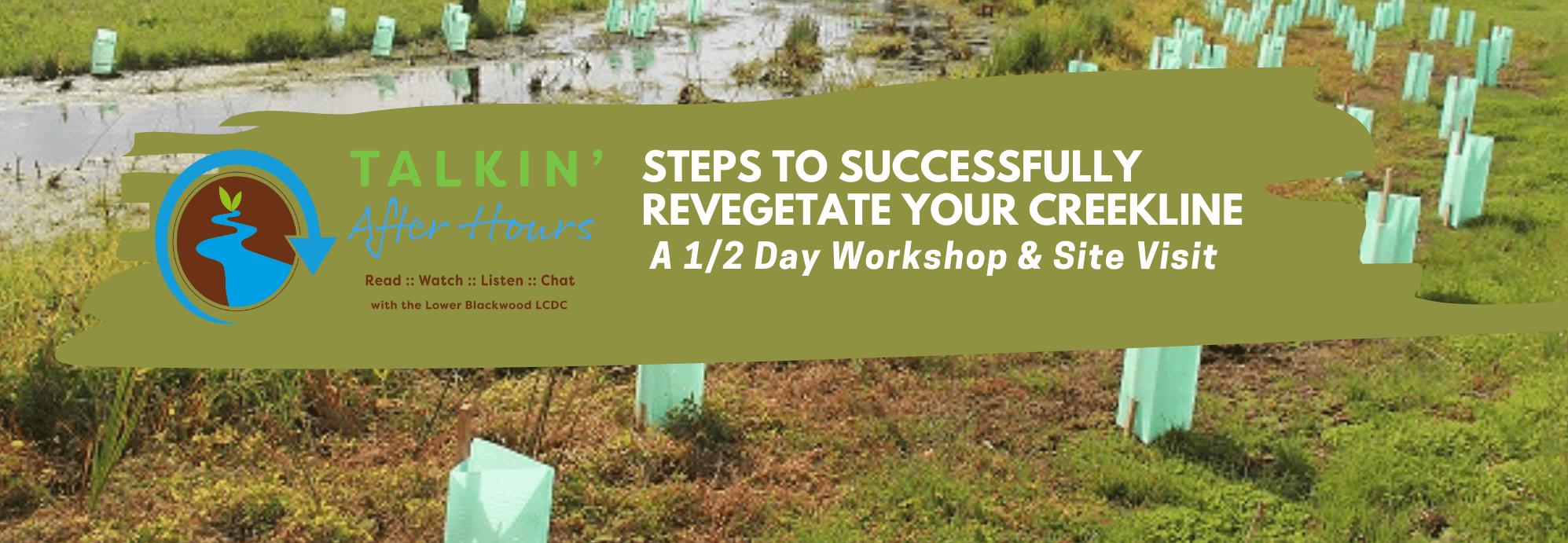 Steps to Successfully Revegetate Your Creekline Banner 1