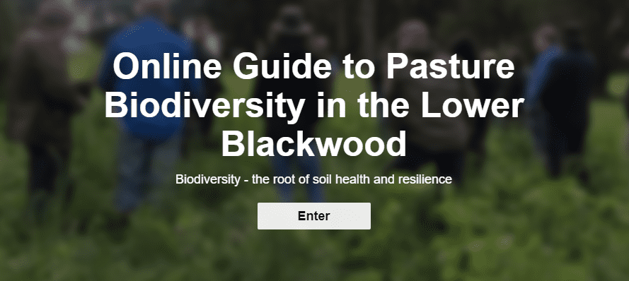 Online Guide to Pasture Biodiversity in the Lower Blackwood 2 Screen Shot 05 10 23 at 02.58 PM