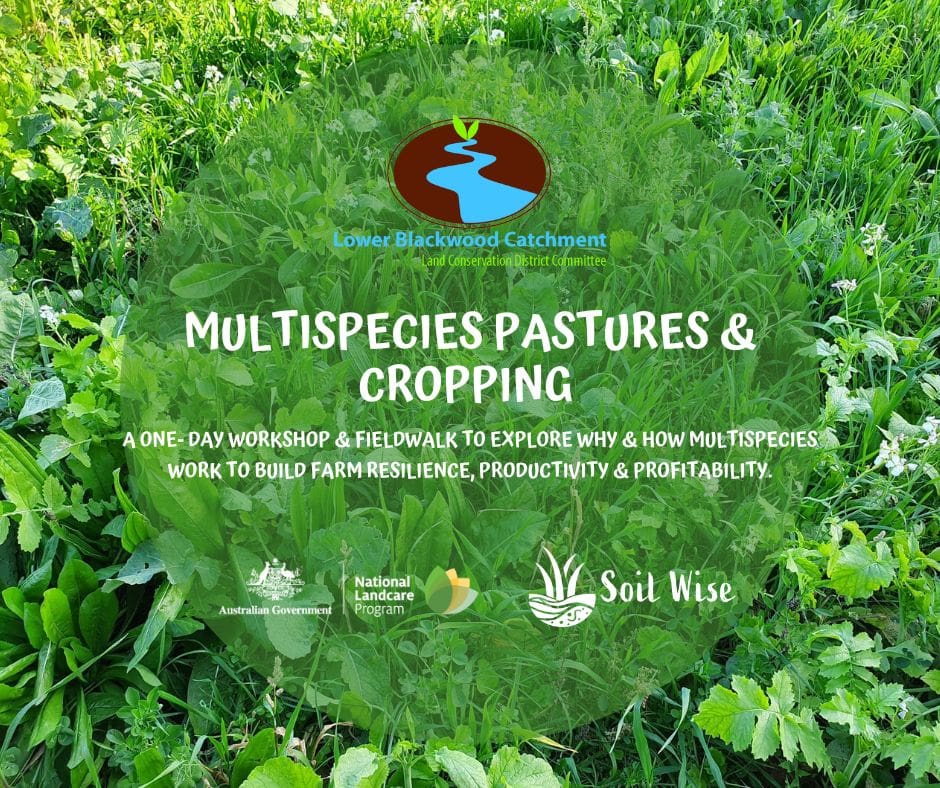 FB Tile Multispecies Pastures Cropping