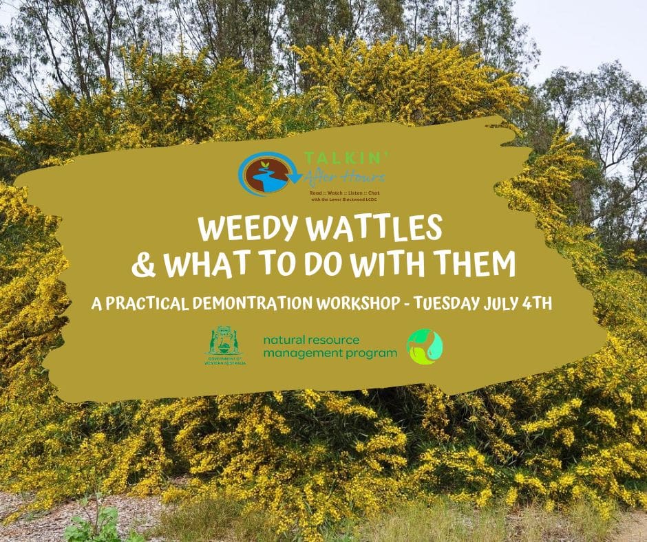 Facebook Tile Weedy Wattles