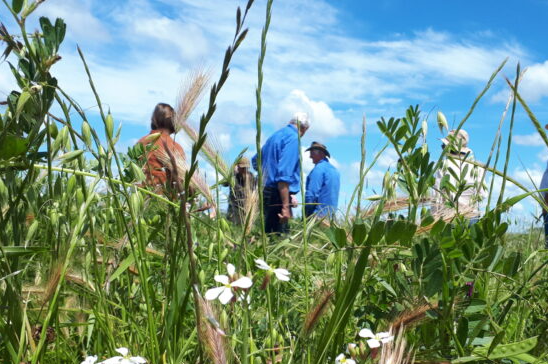 Screen Shot 08 03 23 at 04.59 PM e1691053326383