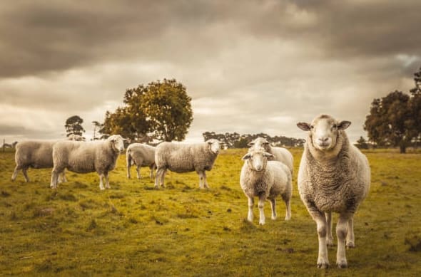 Screen Shot 09 19 23 at 02.40 PM