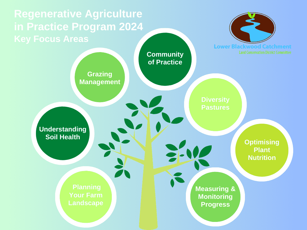 RAPP 2024 Key Focus Areas