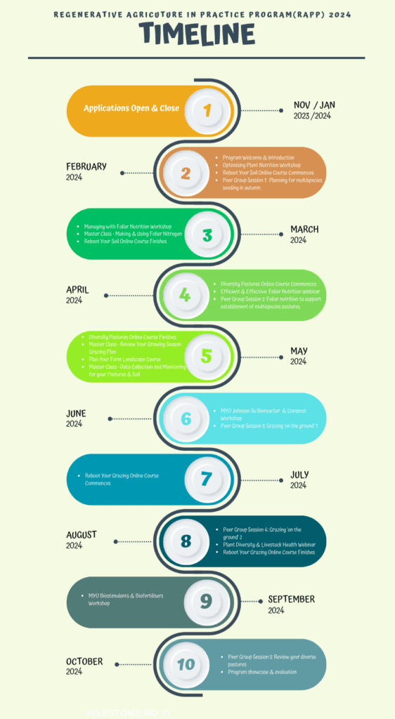 RAPP 2024 Timeline 2