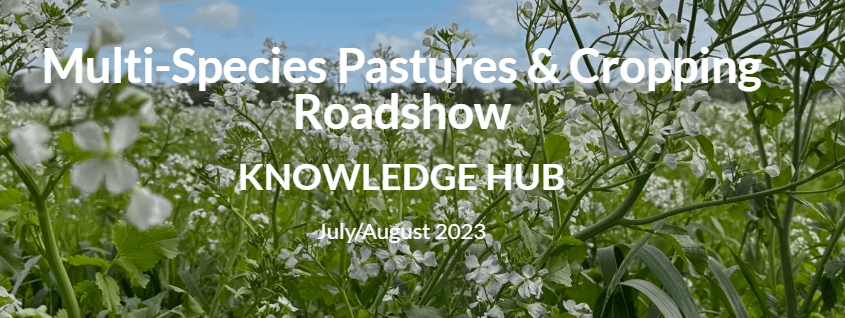 Screen Shot 11 20 23 at 02.47 PM