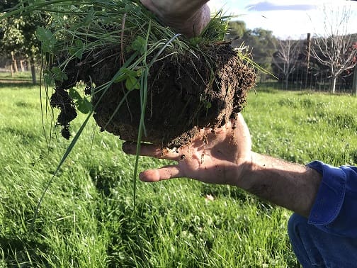 Soil root exudates 2rs