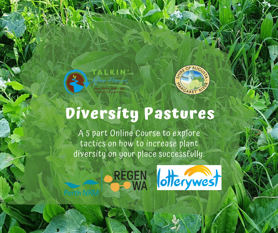 Diversity Pastures FB Tile 1