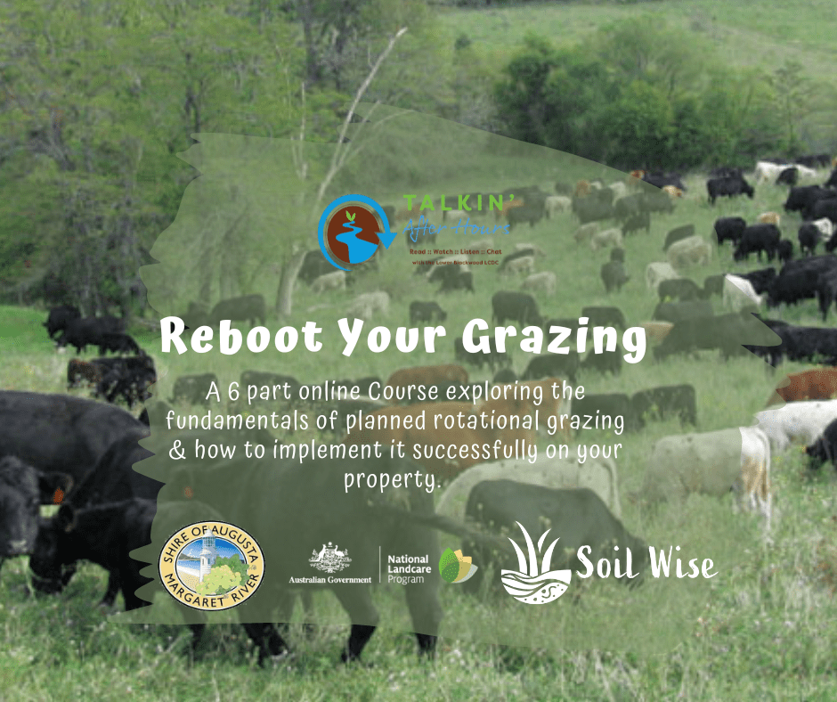 Reboot your Garzing FB Tile