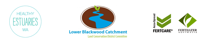 Screen Shot 02 15 24 at 04.40 PM