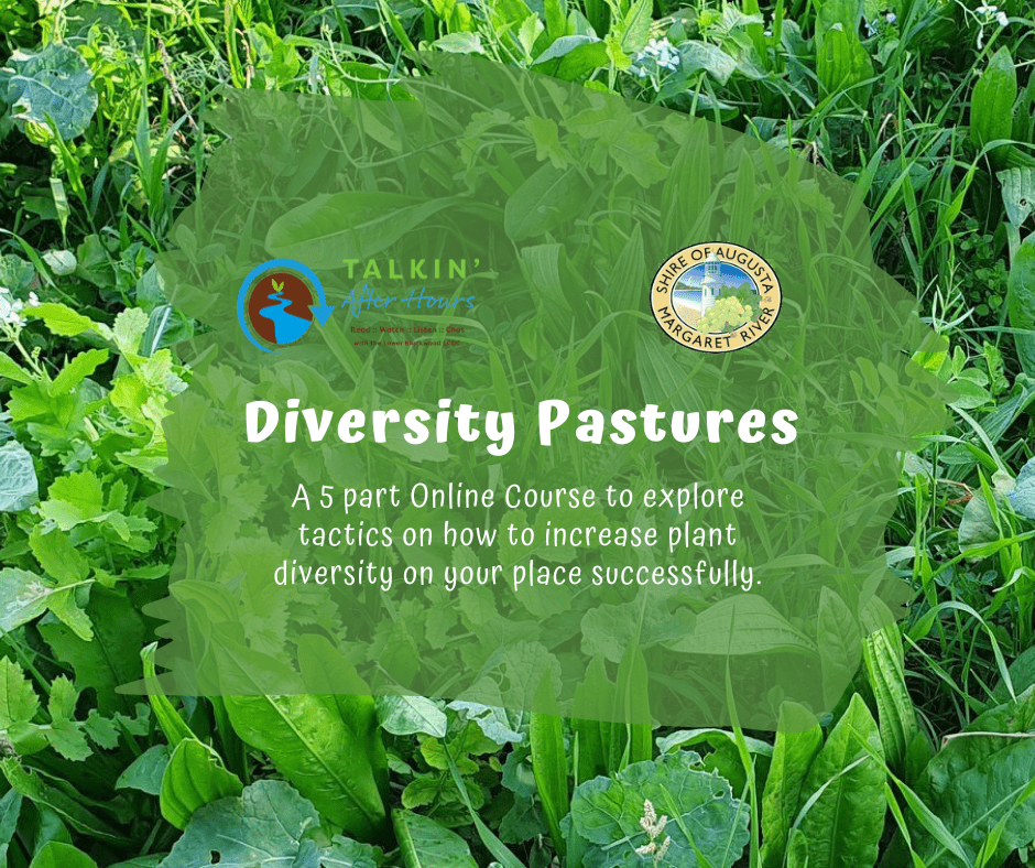 Diversity Pastures FB Tile