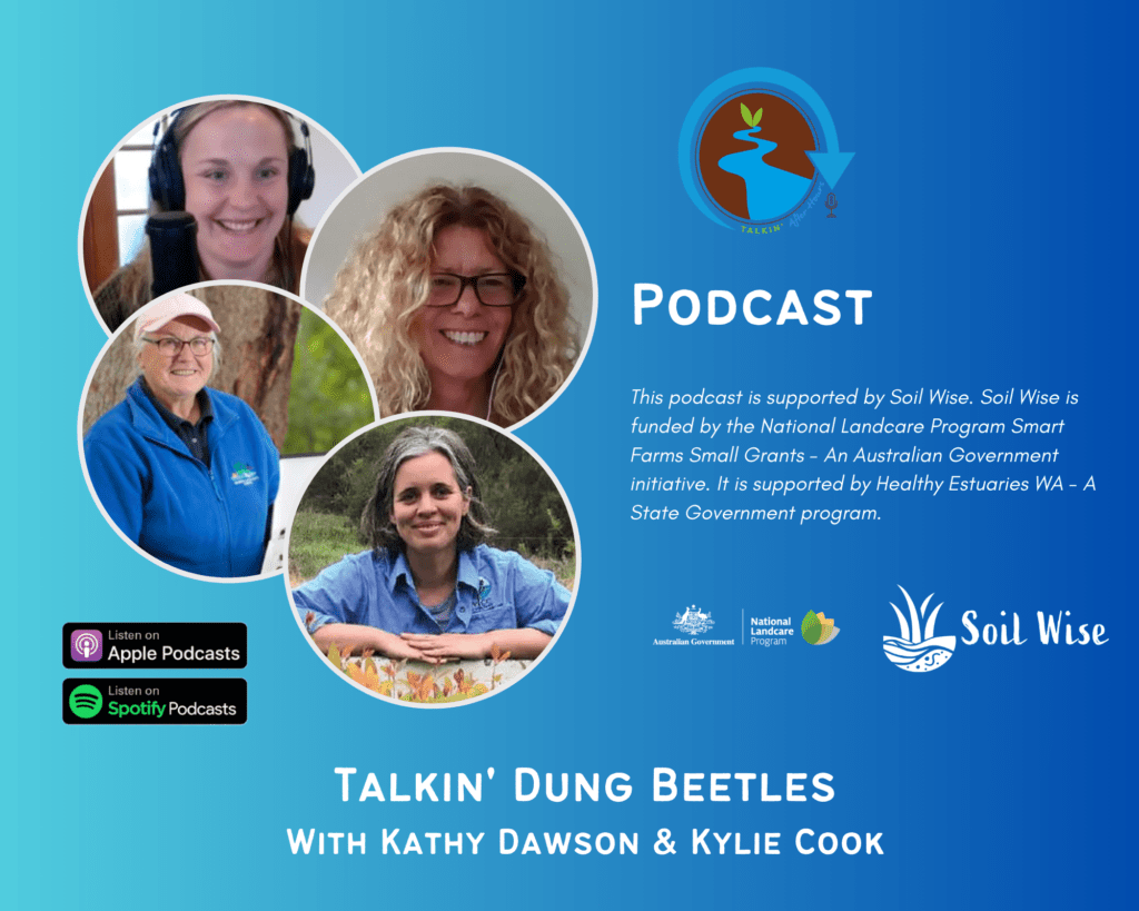 Dung Beetle Podcast Pic