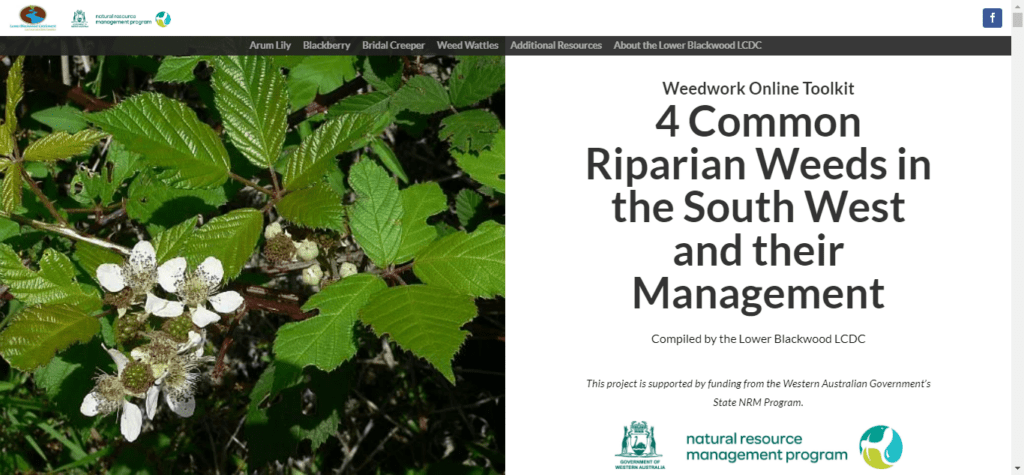 Screen Shot 03 14 24 at 01.51 PM