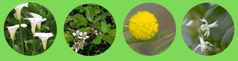 Screen Shot 03 14 24 at 02.23 PM