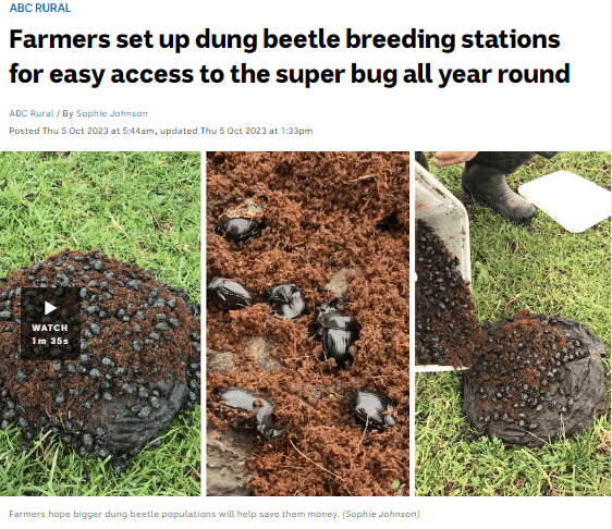 Talkin' Dung Beetles 2 Screen Shot 03 26 24 at 12.45 PM