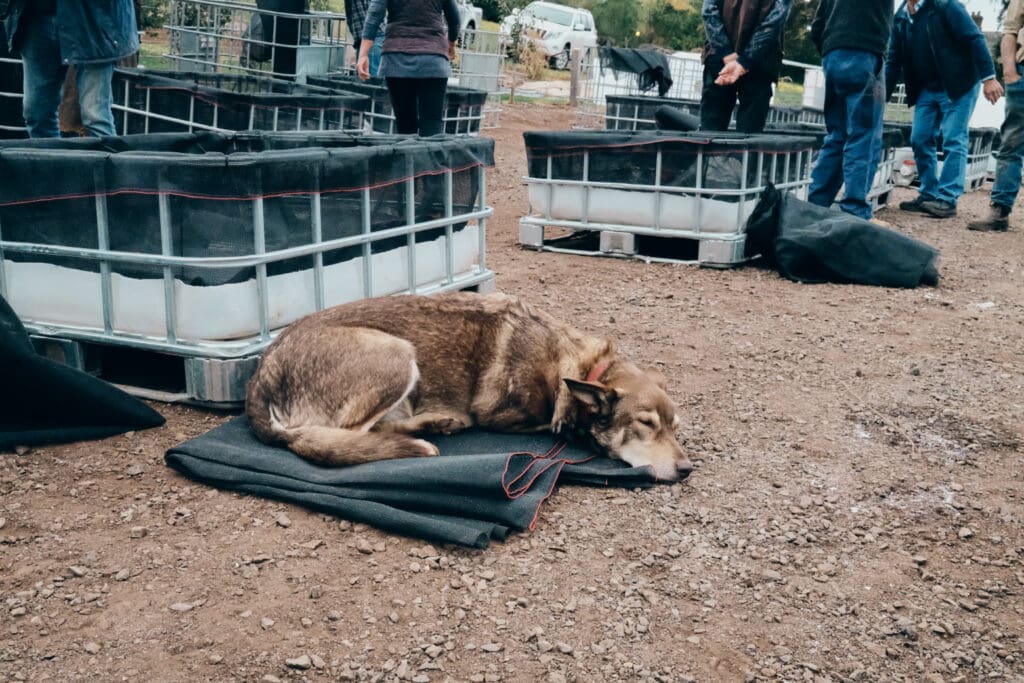 MYO JOHNSON SU COMPOST BIOREACTOR 6 4