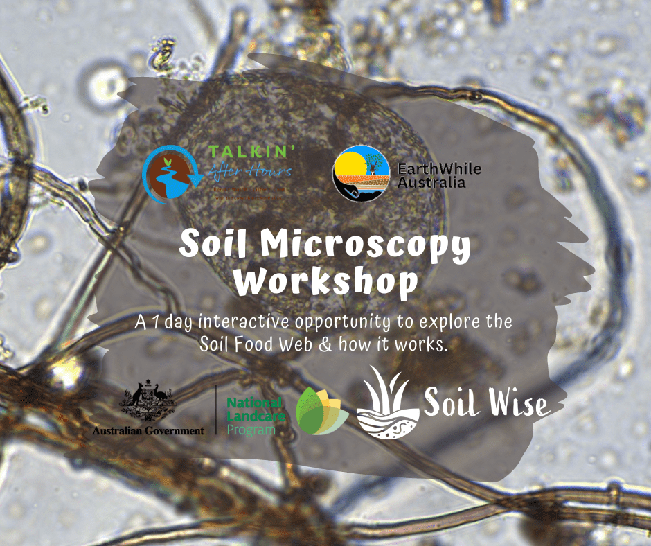 Soil Mircroscopy Tile 1