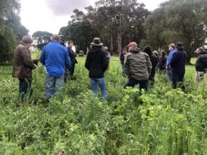 Pasture Biodiversity to Build Soil Health & Resilience in the Lower Blackwood