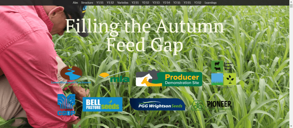 Filling the Autumn Feed Gap 1 Screen Shot 05 23 24 at 09.50 AM
