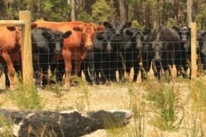 Lower Blackwood Landholder Value Study