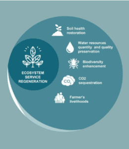 Regenerative Agriculture in Practice Program (RAPP) 2020