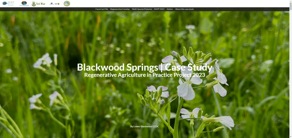 Screen Shot 07 04 24 at 04.03 PM